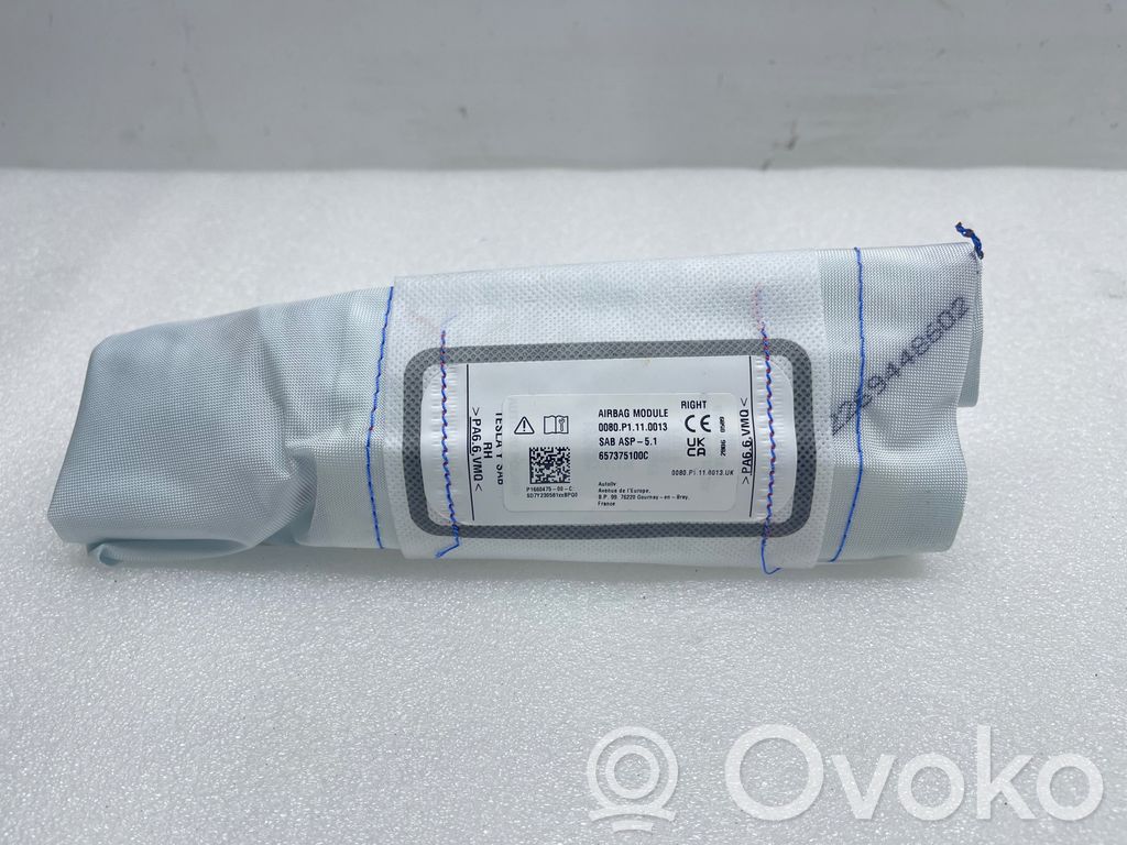 Tesla Model Y Sitz-Airbag 