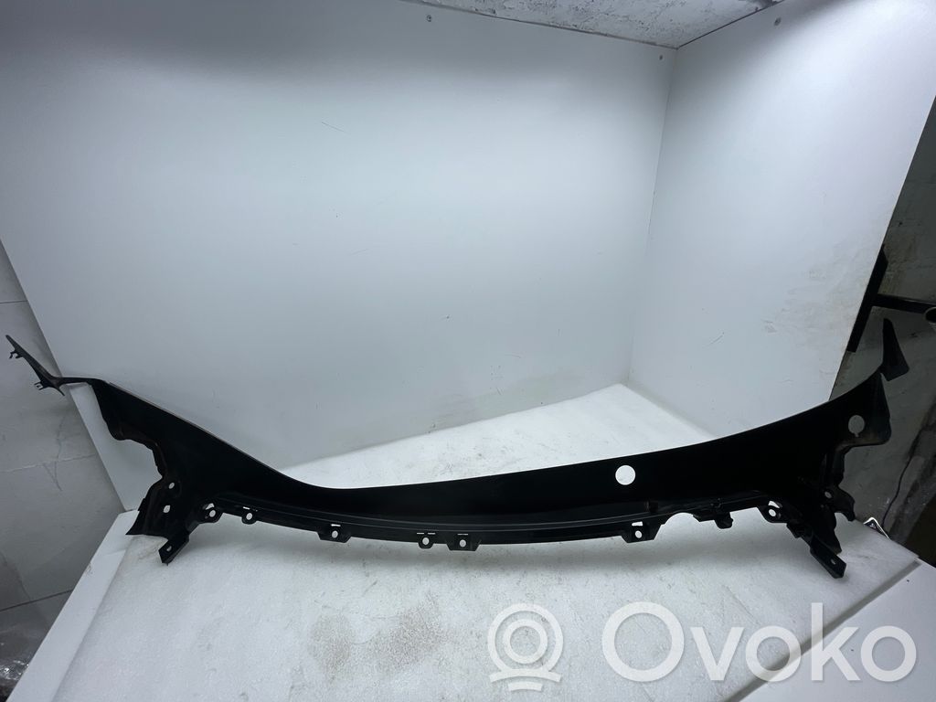 Tesla Model 3 Valytuvų apdaila (-os) 