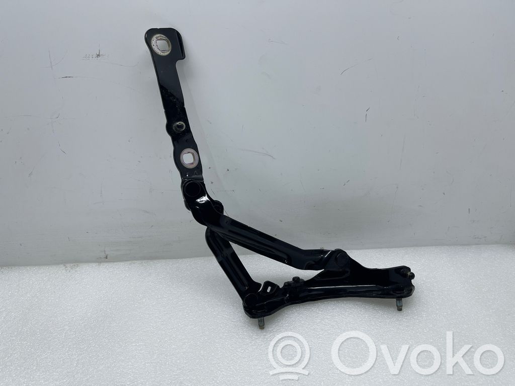 Tesla Model 3 Tailgate/trunk/boot hinge 