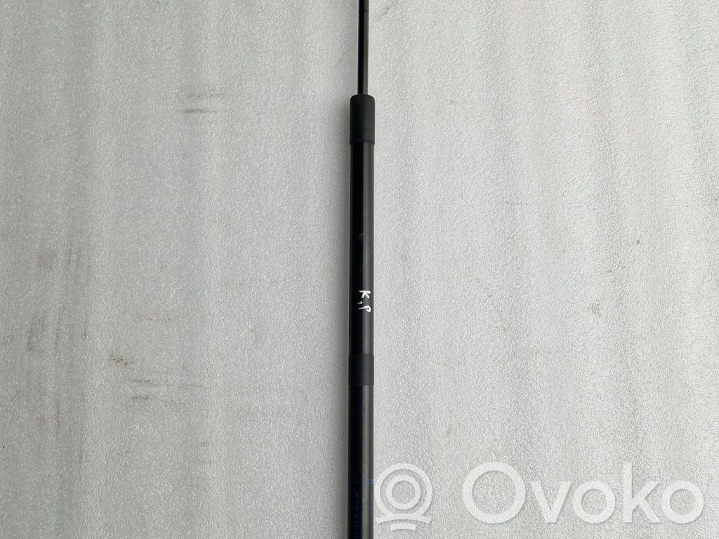 Tailgate/trunk strut/damper   68193789AD