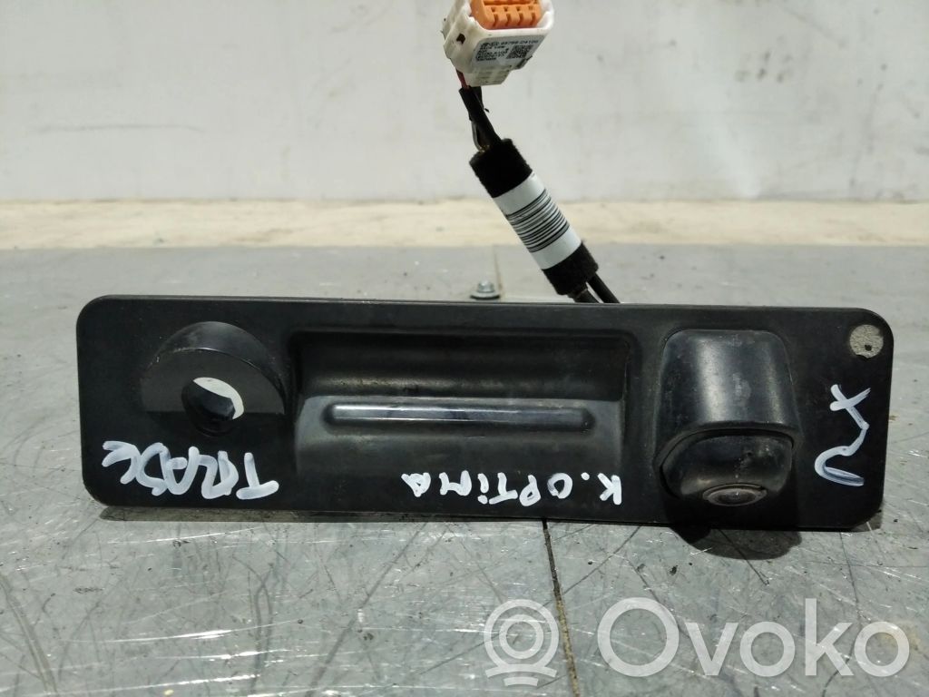 Tailgate trunk handle   95760D4101