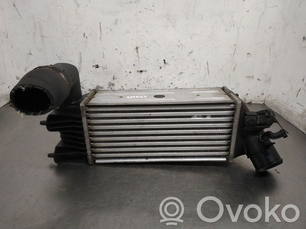 Radiador intercooler   99001043