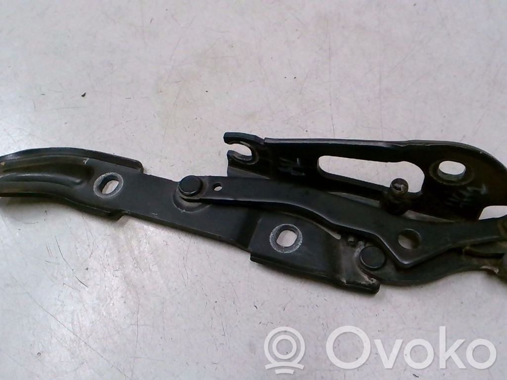 Tailgate/trunk/boot hinge   7060627,41627133815
