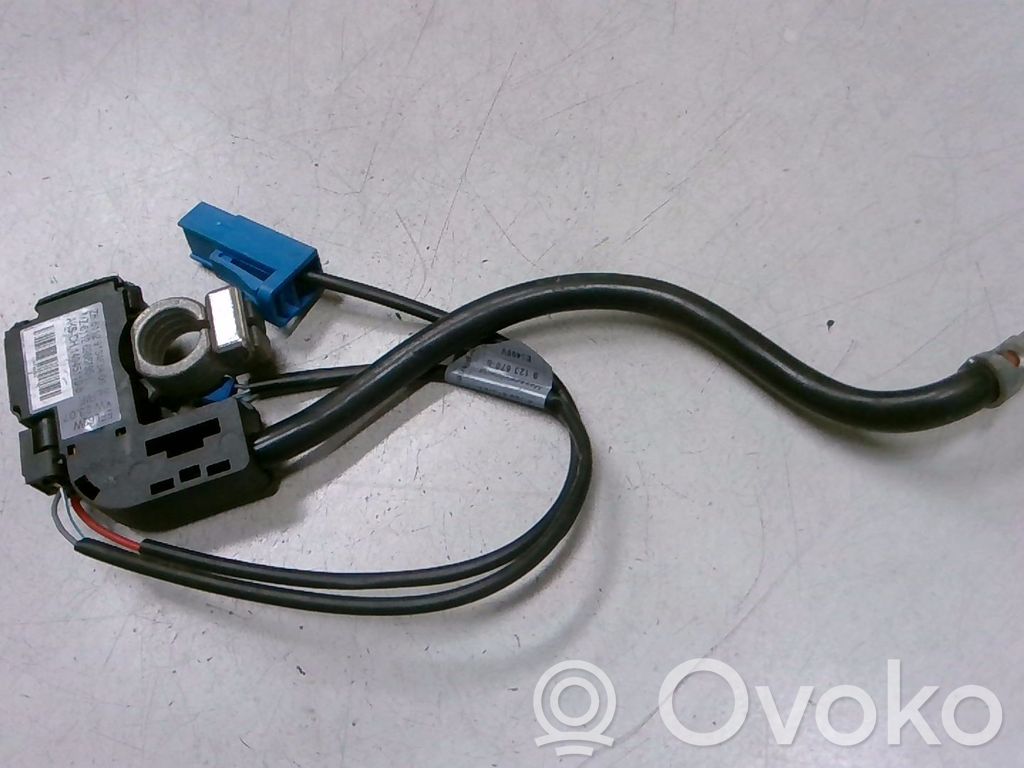 BMW 1 E81 E87 Cable negativo de tierra (batería) 