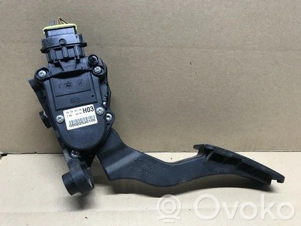 Akceleratoriaus pedalas   080225J0106,10134