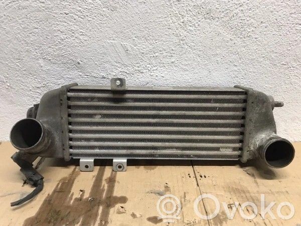 Intercooler radiator   6714315,12243