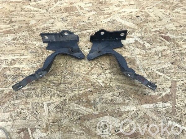 Hyundai Santa Fe Engine bonnet/hood hinges 