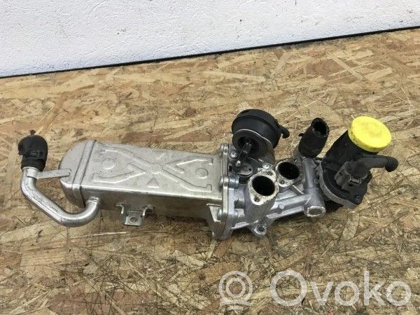 Volkswagen Golf VI Chłodnica spalin EGR 