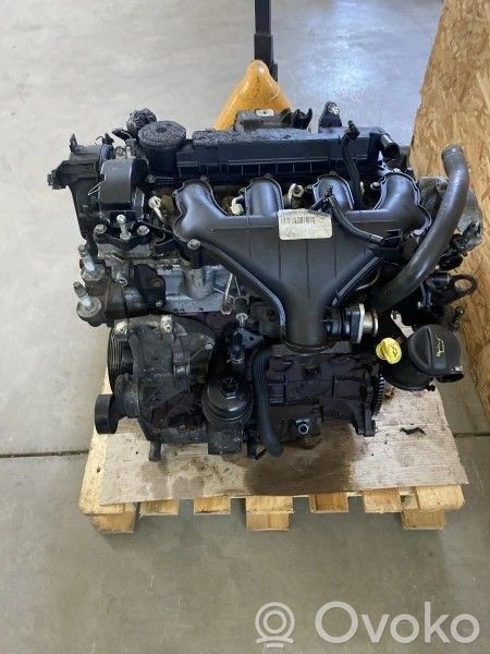 Motor   D4204T,72670