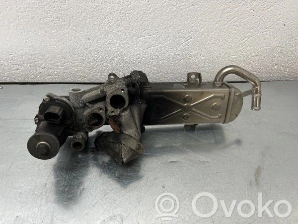 Volkswagen PASSAT B7 Chłodnica spalin EGR 