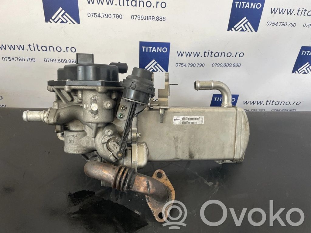 Audi Q5 SQ5 8R Răcitor supapă EGR 