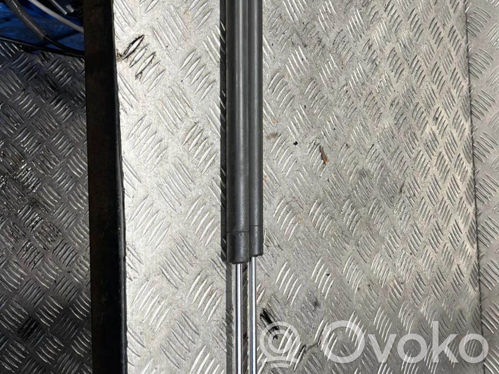Citroen Berlingo Tailgate/trunk strut/damper 