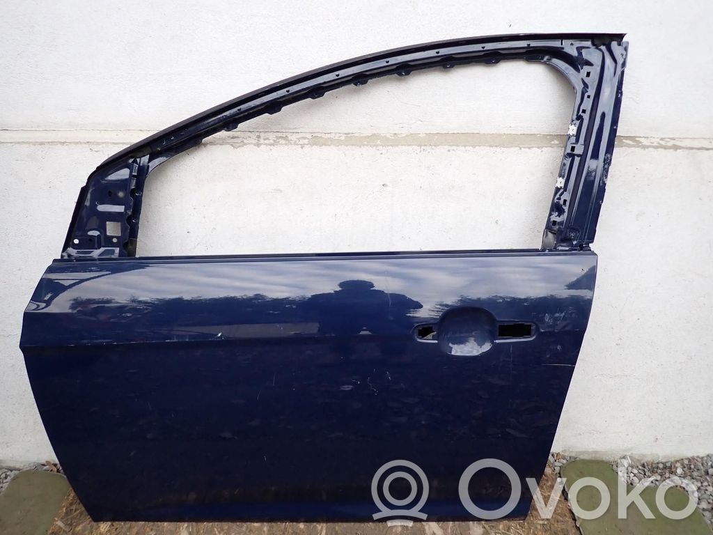 Ford Focus Front door 