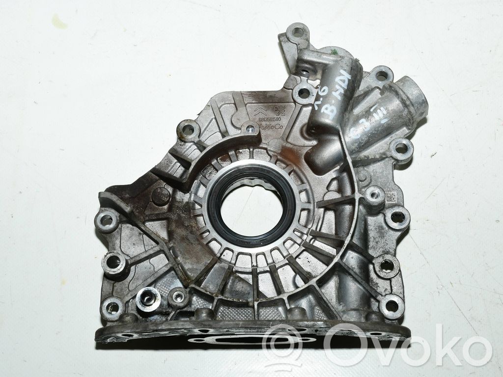 Ölpumpe   9813581580