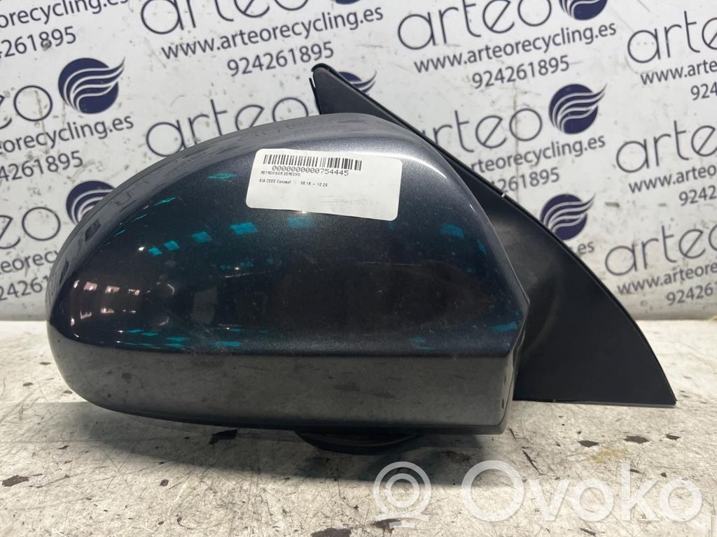 Front door electric wing mirror