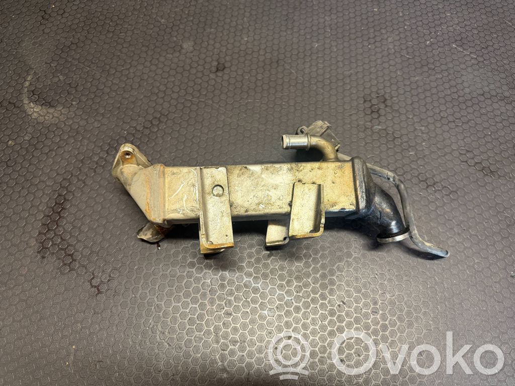 Opel Vivaro Refrigerador de la válvula EGR 