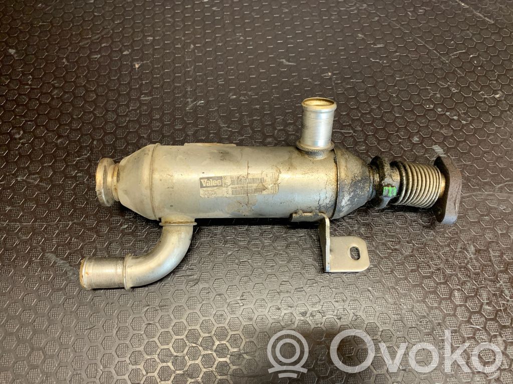 Citroen C5 Răcitor supapă EGR 