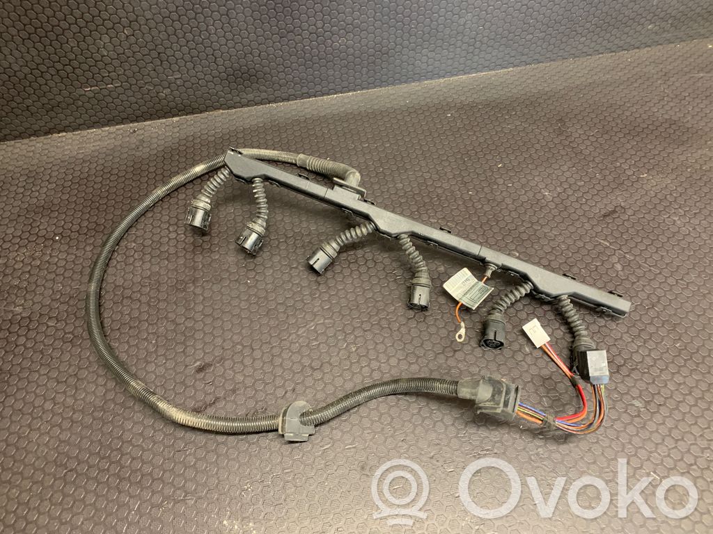 BMW 3 E46 Degalų purkštukų (forsunkių) laidai 