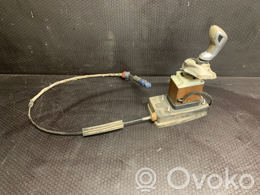 Selector caja de cambios   AM6DW10,9681617780,00019737