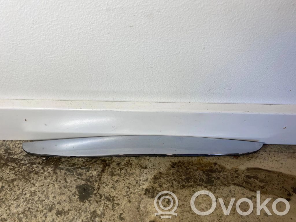 Engine cover (trim)   7117241,51137117241