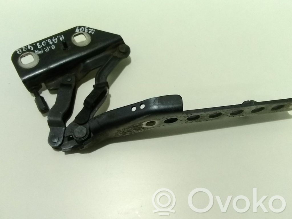 Audi A8 S8 D3 4E Engine bonnet/hood hinges 