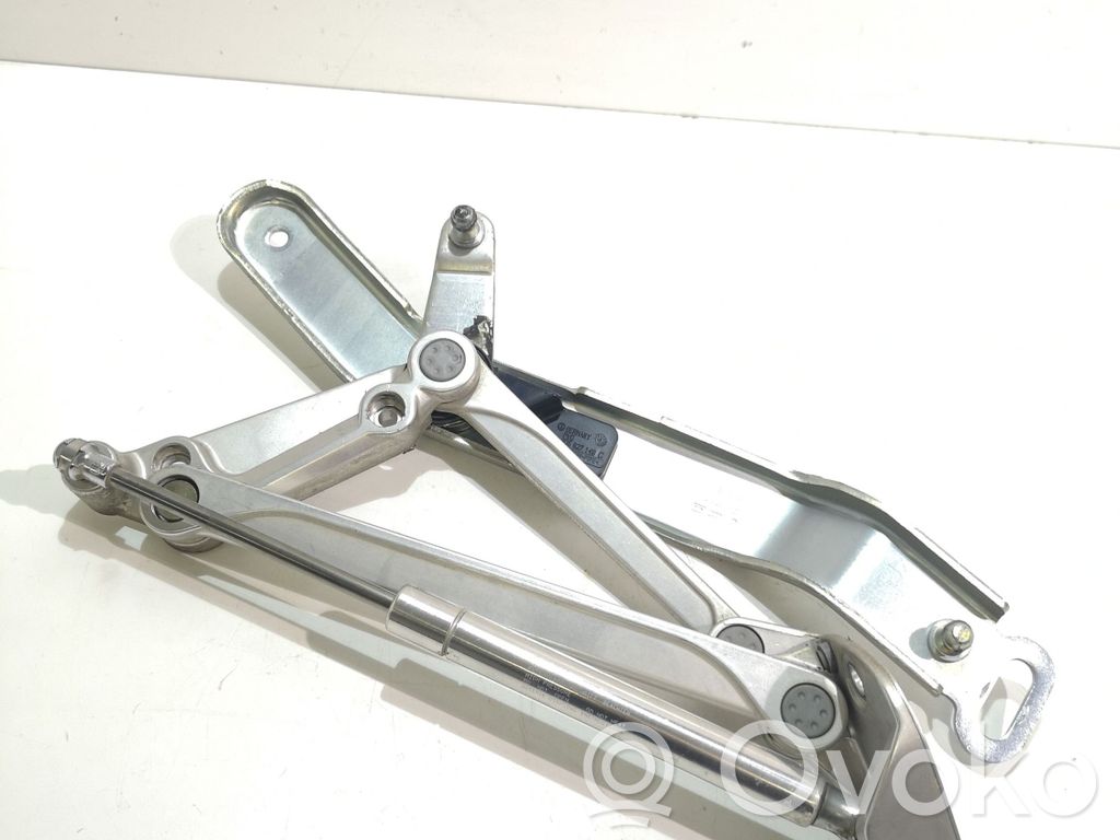 Volkswagen Phaeton Tailgate/trunk/boot hinge 