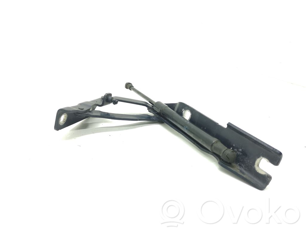Engine bonnet/hood hinges
