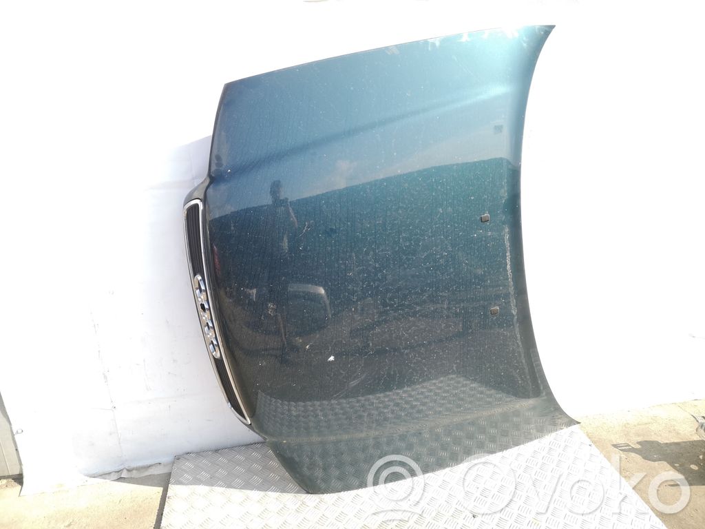 Engine bonnet/hood