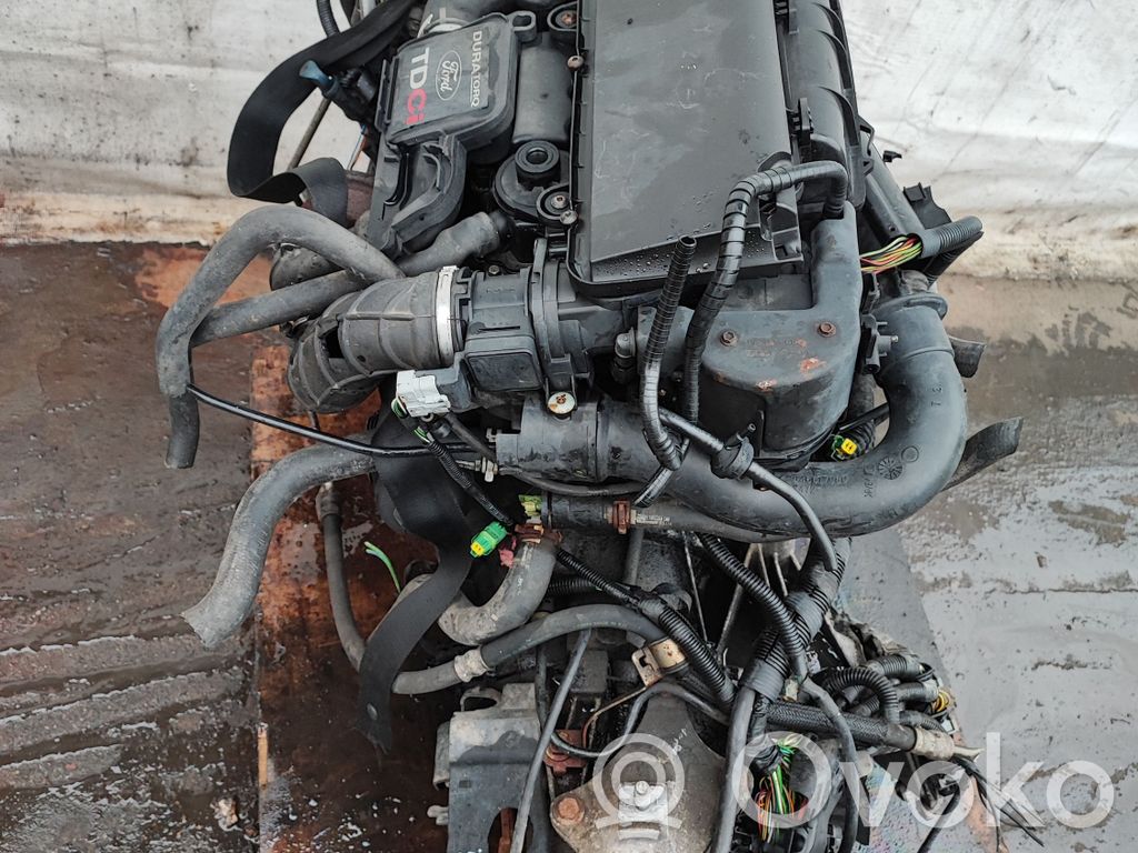 Engine   DV,B5IB5