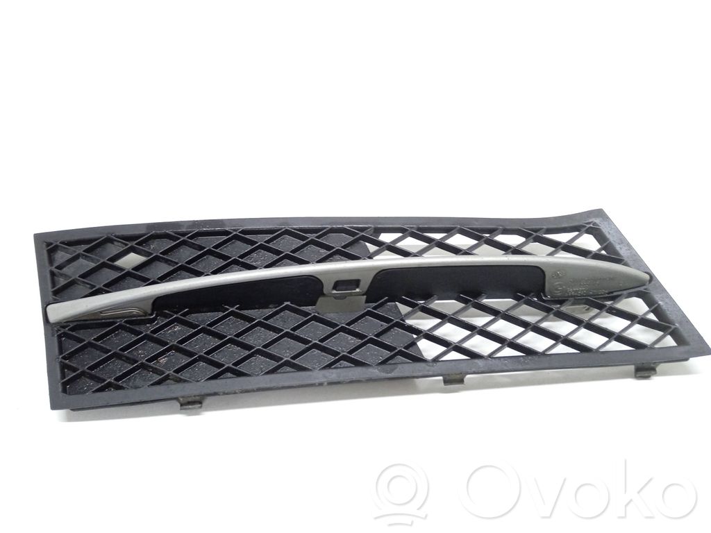 BMW 5 F10 F11 Front bumper lower grill 
