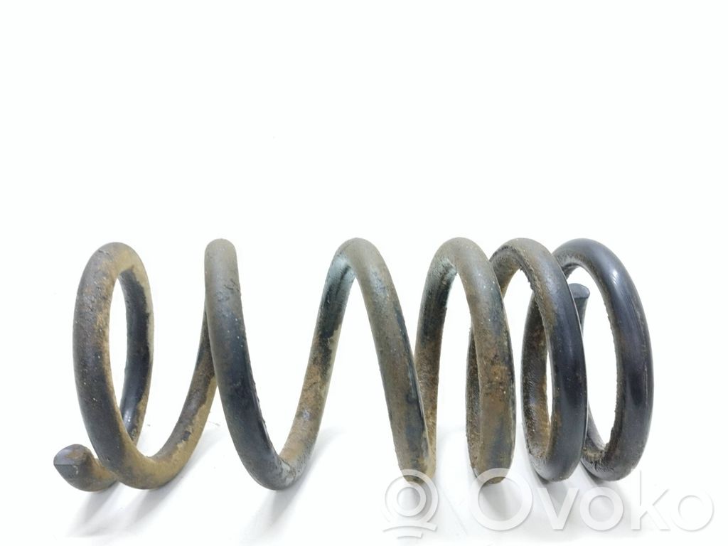 Muelle espiral trasero