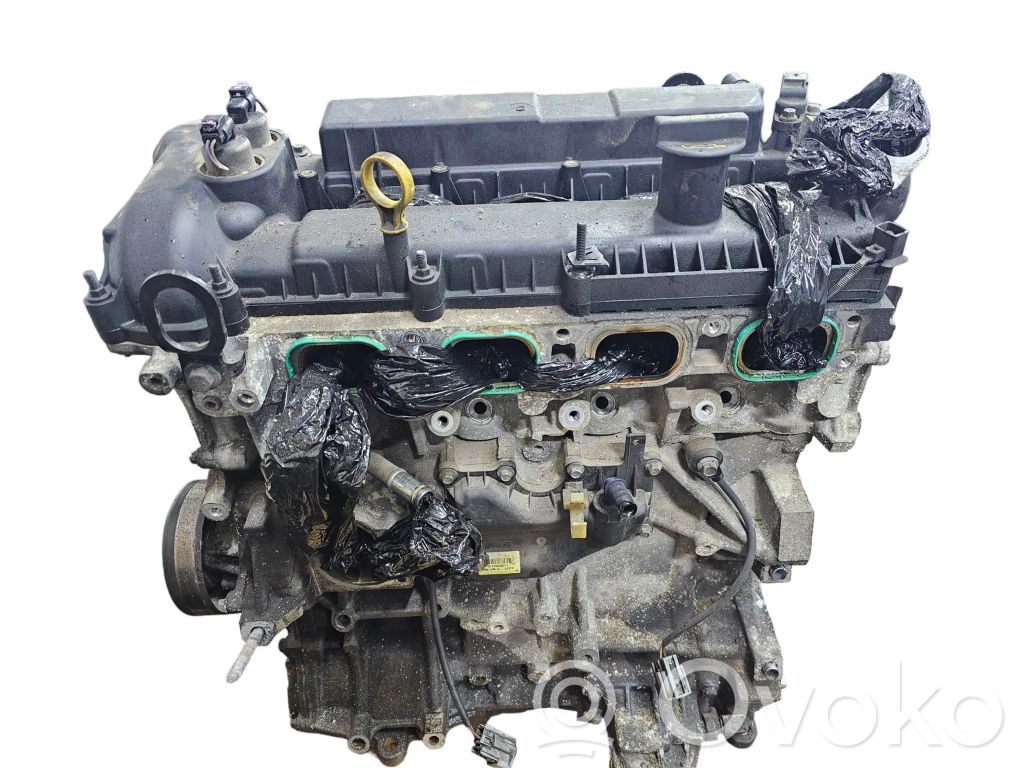 Ford Focus Variklis 