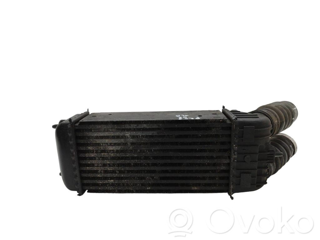 Peugeot 207 Intercooler radiator 