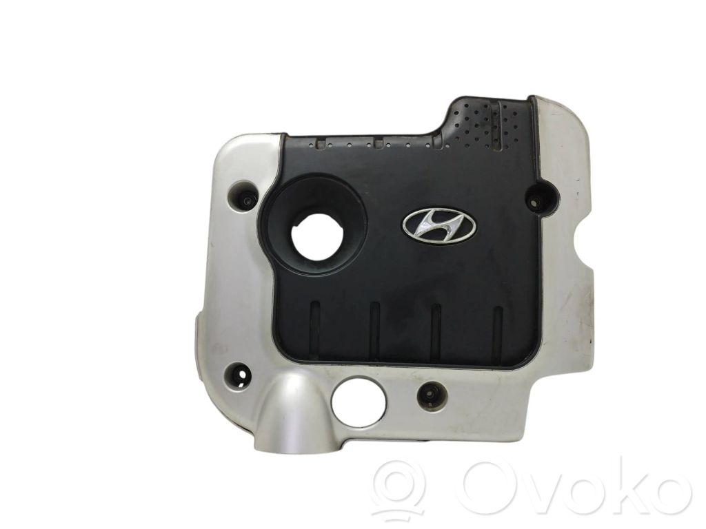 Hyundai Santa Fe Copri motore (rivestimento)