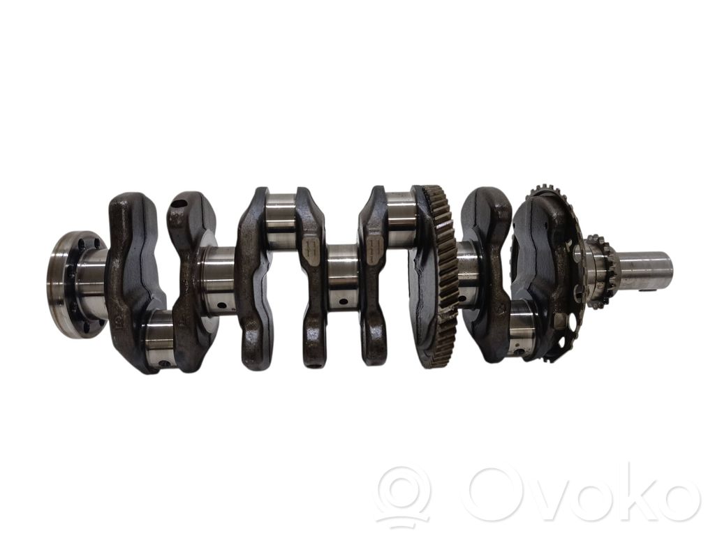 Albero motore   7308657