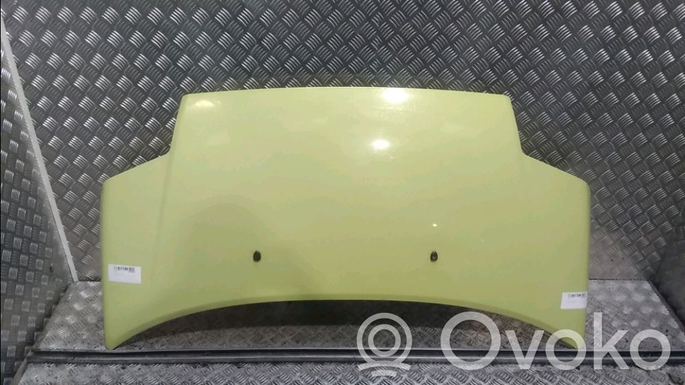 Motorhaube   7901K2