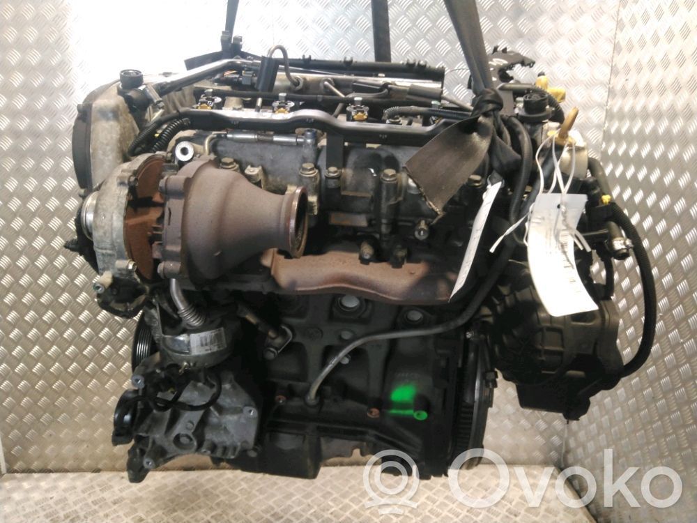 Motor   71754381
