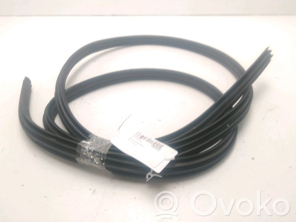 Renault Grand Modus Cheder cauciuc ușă față (pe ușă) 