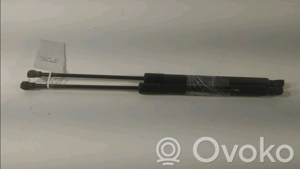 Amortizor hayon   8731T9