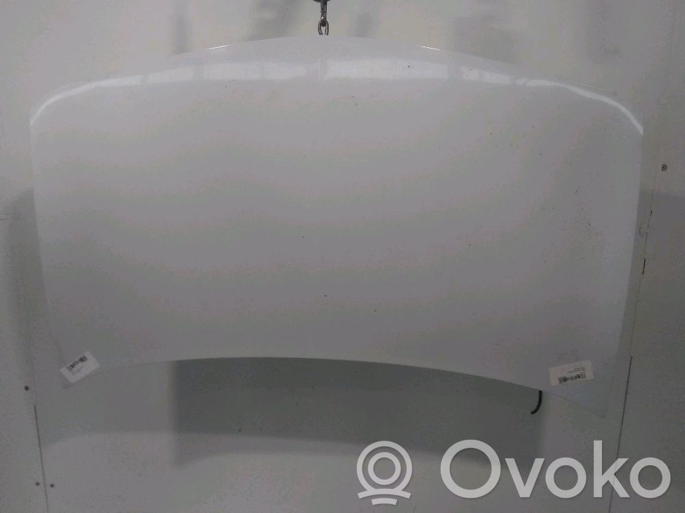 Motorhaube   7751476151