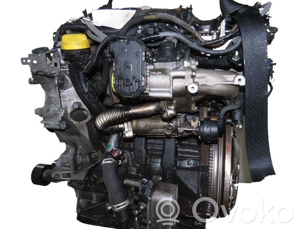 Engine   7701478170
