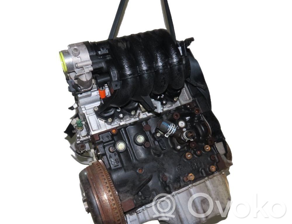 Variklis   1353X