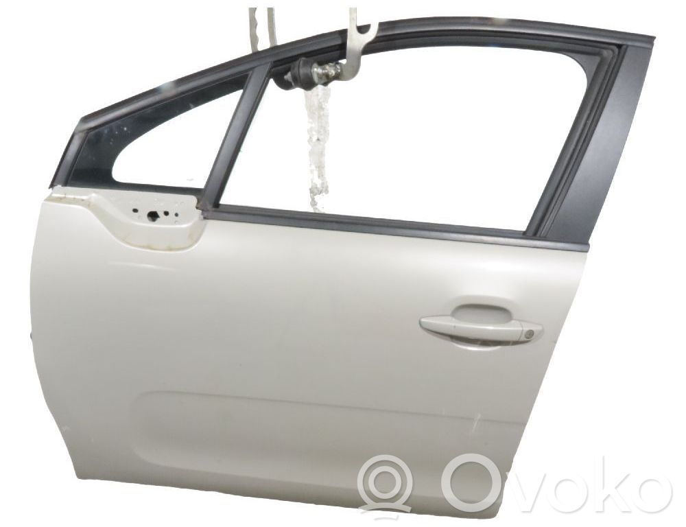 Puerta delantera   9812251980