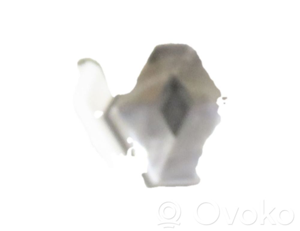 Motorhaube   651009018R