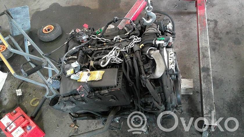 Motor   DV6TED4