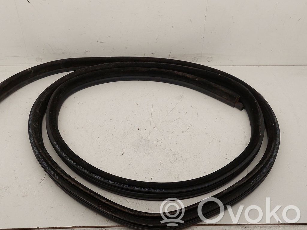 Gumowa uszczelka drzwi tylnych / na karoserii   8194683,5172S,N4986K