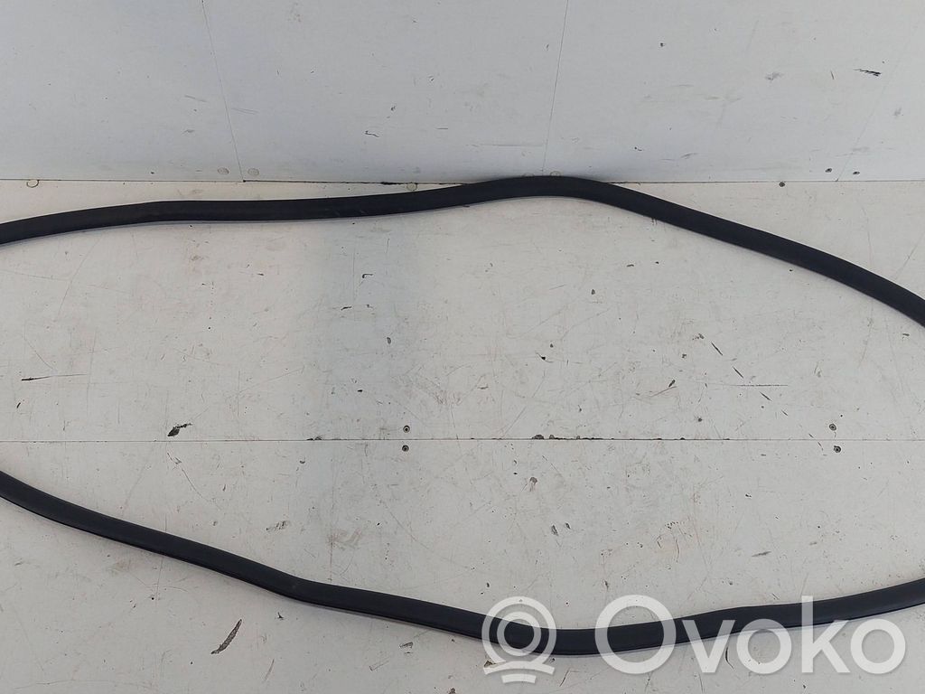 Audi A4 S4 B6 8E 8H Gumowa uszczelka drzwi przednich 