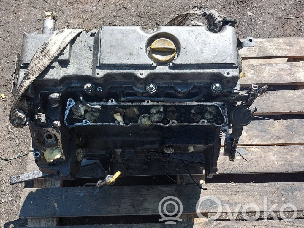 Opel Signum Motor 