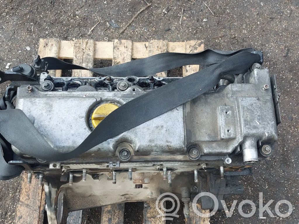 Opel Signum Motor 