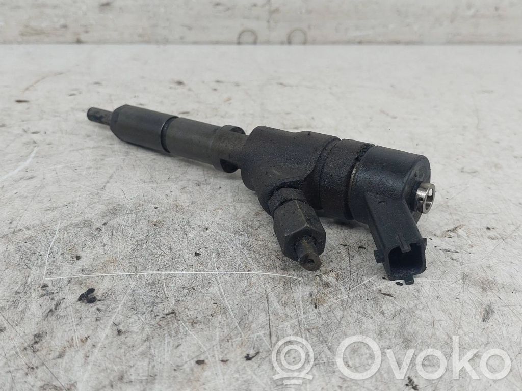Peugeot 406 Fuel injector 